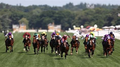 Royal Ascot Tuesday Tips Cheat Sheet: All the best bets in one place.